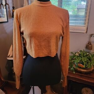 Ribbed Long Sleeve Crop Top in Tan